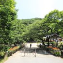 순천-43호 Daum카페
