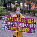 새나무 - 양천구 목동동로 63 | 새나무