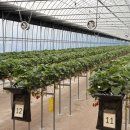 율하농장 이미지