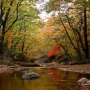 자작자작캠핑장 이미지