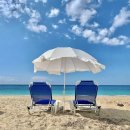 명리, 나를 지키는 명리 이미지