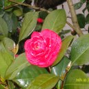 백운산마을 이미지