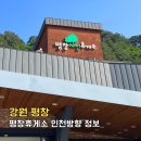 세븐일레븐평창점 | 평창휴게소 주유소 먹거리 식당가 인천방향 정보