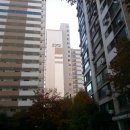 화신로-8 네이버블로그