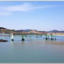 전라남도 신안군 안좌면 퍼플교 이미지