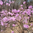 청룡산 | 장군봉과 청룡산 산행후기