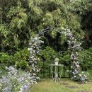 흙시루 | 부산야외웨딩 인기 급상승 빌프랑플라워연출 기장 흙시루 한옥 감성 웨딩 후기