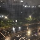 박창환 복싱클럽 이미지
