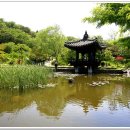 안면도자연휴양림 이미지