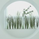 제이엔스튜디오
