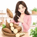 야콘 | 혈당 관리와 다이어트 필수템, 야콘 효능 제철 먹는방법 보관 방법