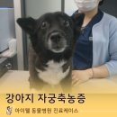 아이웰 동물의료센터 이미지