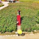 산소카폐 청송정원 (2) 이미지