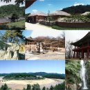 영주한식당 네이버블로그