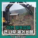 이천종합가스상사 | 이천 벌목업체 큰 나무 제거 비용