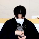 분당고양이분양 고사남 이미지