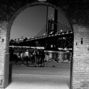 Dumbo 이미지