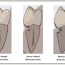휴먼치과의원 이미지