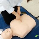 서울대학교어린이보육지원센터느티나무어린이집