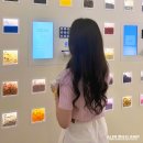 상대서로 | 서울 이색데이트 압구정 실내놀거리 4233마음센터 체험+해석상담 후기