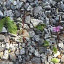 아기소망을 담은 초안산 마을여행 이미지