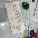 제주여객자동차㈜ | 제주 우도 가는 방법 및 즐길거리와 후기, 성산 고등어 쌈밥 리뷰