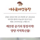 여우골농장 이미지