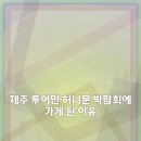 민 | 제주 투어민 허니문 박람회 후기 리스트