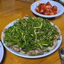 경미몰