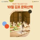 통진두레문화센터 두레홀 | 풍성한 가을, 쉼표가 있는 10월 김포 문화산책