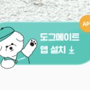 도그 PC 이미지