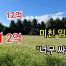 [부동산경매] 12억에서 2억으로 폭락 미쳤다 서귀포 임야 싸도 너무 싸다 이미지