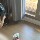 호동기사님식당 | 365 365