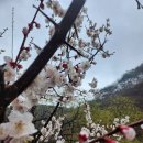 싱잉볼 힐링 명상 테라피 단체출강 후기 (꿀팁 포함)