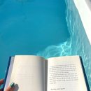 이도스테이 이미지