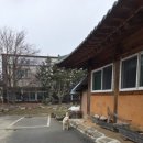 청기와뜰 | 청기와뜰(전남 구례)_비빔밥, 청국장 식사