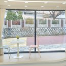 벨몽드펫 이미지