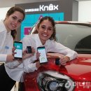 월드오토카 이미지