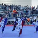 KTI청옥태권도 이미지