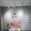 리츠펫 동탄능동점 이미지