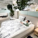 뷰티반려문화 | 이천 시몬스 테라스점 카페 실내놀거리 슬립라운지 꿀잠체험 후기