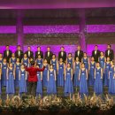 백운행복 이미지