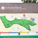 메드스카이