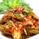 봄동 이미지