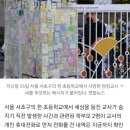 경찰 “서초구 초교 학부모, 교사에게 먼저 전화했는지 확인 안 돼” 이미지