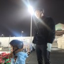 웨이브트리(주) | 시흥 겨울 아기랑 가볼만한곳 거북섬 스케이트장 눈썰매, 얼음썰매, 대형트리 후기