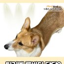 팅커벨 이미지