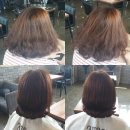 트레보헤어 이미지