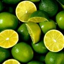 라임 이미지