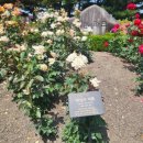 조선대학교 공과대학(1호관) 이미지